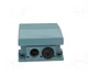 SCHNEIDER ELECTRIC Interruptor de pie azul IP66 SPST-NO x2 + SPST-NC x2