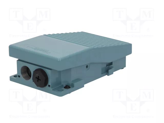 SCHNEIDER ELECTRIC Interruptor de pie azul IP66 SPST-NO x2 + SPST-NC x2