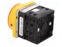 SPAMEL Interruptor de leva 16A 0-1 IP65