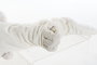 DKD Home Decor Cojin Kids Ovejitas Blanco Marron Claro 62.5 x 17 x 4 cm (4 Unidades)