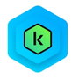 Kaspersky Standard para 10 dispositivos, 1 año