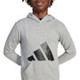 Sudadera con Capucha Niña Adidas Big Logo French Terry Hd Gris claro S