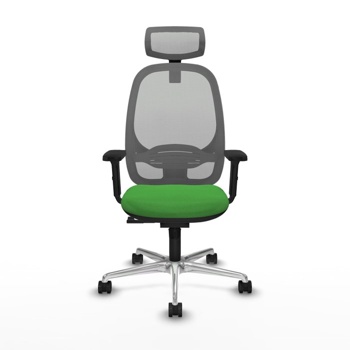 PIQUERAS Y CRESPO Silla de oficina Cilanco con mecanismo Sincro, Verde y Gris