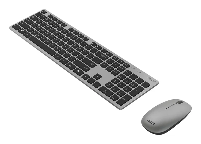 Asus W5000 Wireless Gris Teclado y Ratón