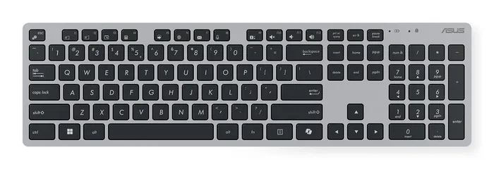 Asus W5000 Wireless Gris Teclado y Ratón
