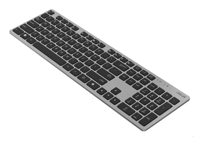 Asus W5000 Wireless Gris Teclado y Ratón