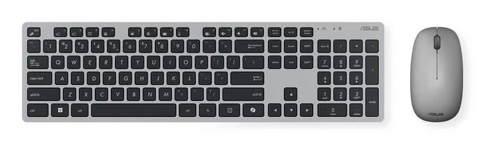 Asus W5000 Wireless Gris Teclado y Ratón