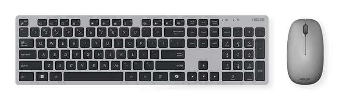 Asus W5000 Pack de teclado y ratón inalámbrico Gris, Español