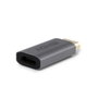Lindy 41095 Adaptador de DisplayPort a HDMI Type A Gris