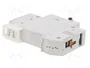 ETI POLAM Interruptor magnetotérmico ETIMAT 10 1P B4 4A 10kA