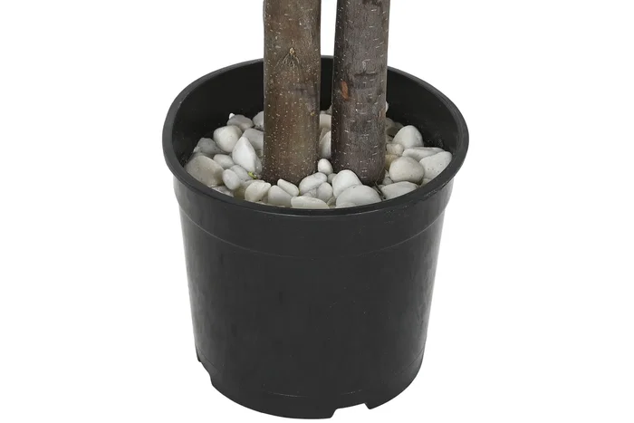 DKD Home Decor Árbol Mango Verde 80x80x150 cm