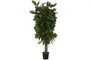 DKD Home Decor Árbol Mango Verde 80x80x150 cm