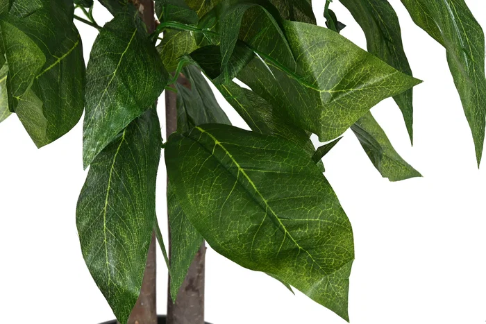 DKD Home Decor Árbol Mango Verde 80x80x150 cm