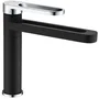 Edouard Rousseau Mezclador de lavabo ONEGAI EDO3047404062187 Negro / Cromo