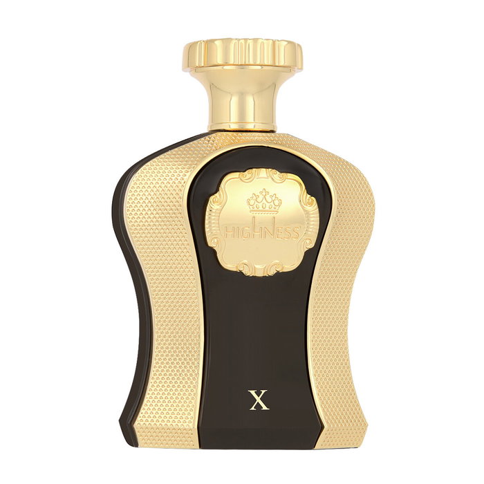 Afnan X Eau de Parfum 100 ml