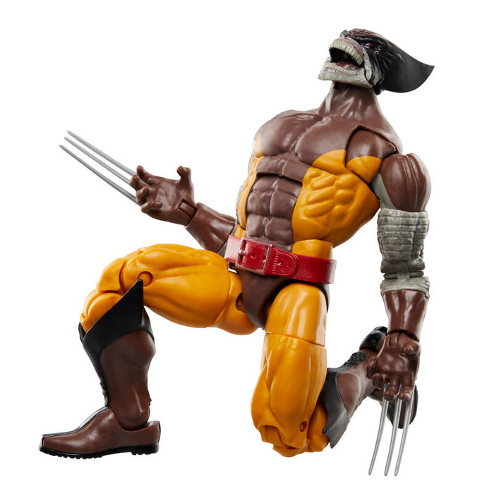 Hasbro Marvel Legends Series Pack de 2 Figuras Wolverine Brood Version y Lilandra Neramani Hasbro Marvel Legends Series Pack de 2 Figuras Wolverine Brood Version y Lilandra Neramani
