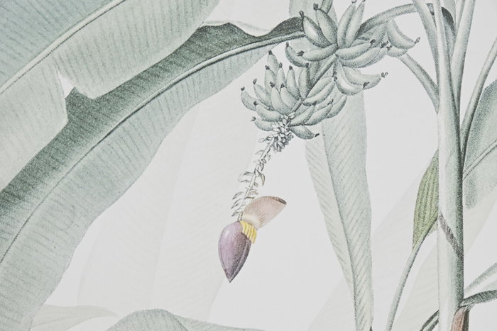 DKD Home Decor Set de 3 Cuadro Tropical Verde Beige 4 x 120 x 180 cm