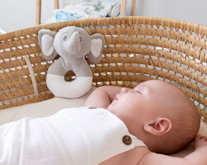 KioKids Dolci Amici Sonajero Peluche Elefante Gris 13 cm KioKids Dolci Amici Sonajero Peluche Elefante Gris 13 cm