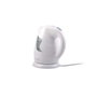 Adler Hervidor de agua AD 08 1 l Blanco