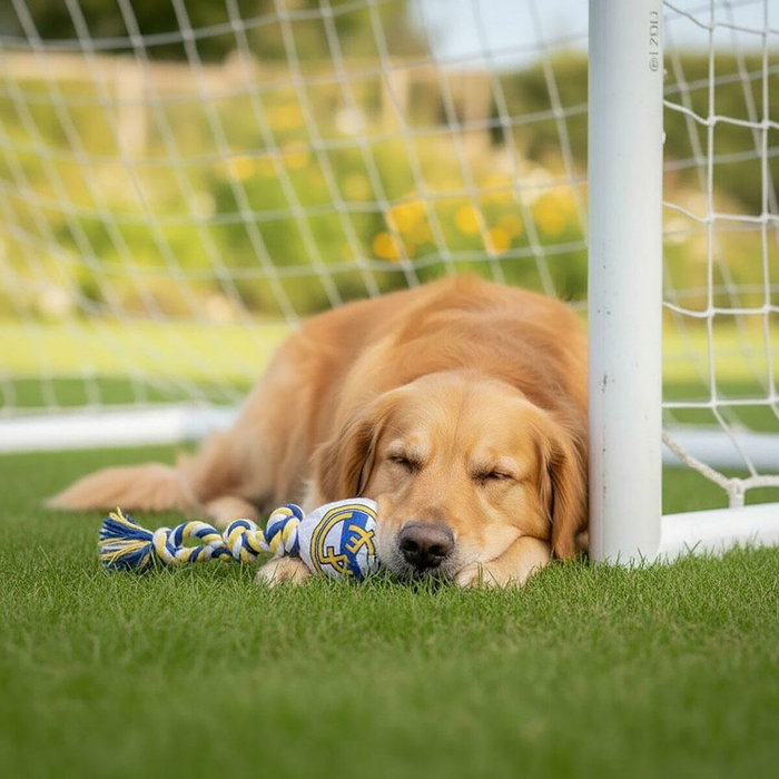 Cerdá Juguete Para Perro Cuerda Real Madrid Cerdá Juguete Para Perro Cuerda Real Madrid