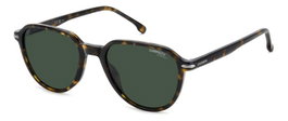 Carrera CARRERA-342-S-FTT con montura marrón y cristal verde