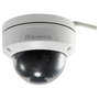 LevelOne FCS-3402 Cámara de Seguridad IP Tipo Domo 2MP