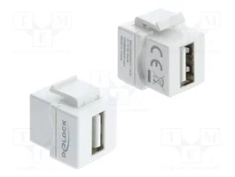 DeLOCK 91080 Módulo Keystone Acoplador USB 2.0 Tipo-A Hembra a Hembra Blanco