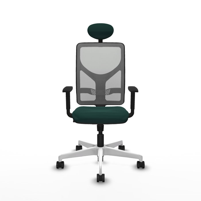 PIQUERAS Y CRESPO Silla de oficina Motilla con mecanismo Sincro, Verde botella y Gris PIQUERAS Y CRESPO Silla de oficina Motilla con mecanismo Sincro, Verde botella y Gris