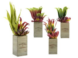 IBERGARDEN Maceta Cuadrada Alta Madera Surtidos 10 cm x 50 cm x 10 cm (Set de 12)