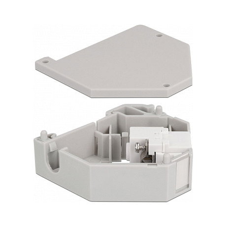 DeLOCK Adaptador de carril DIN con Keystone IEC hembra a bloque de terminales