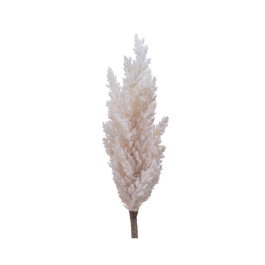 Everlands Pluma de pampa artificial Ø 9 x 90 cm