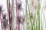 DKD Home Decor Planta Erizo PE/PVC 40x40x150 cm (Pack de 2)