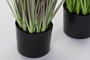 DKD Home Decor Planta Erizo PE/PVC 40x40x150 cm (Pack de 2)