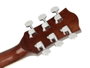 Guit. Acú. E Dreadnought Richwood Sunburst