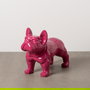 Figura Bull Dog Fucsia Resina 88 X 38 X 63 cm