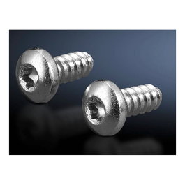 Rittal-Werk Tornillos de chapa hexagonal interior Tipo 5,5 L13mm, 300 unidades