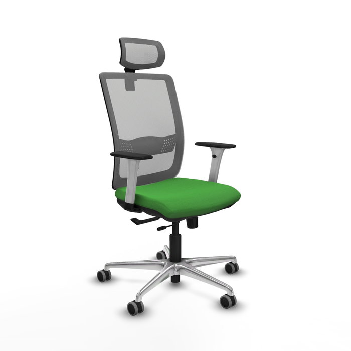 PIQUERAS Y CRESPO Silla de oficina Haches con mecanismo Sincro/Traslack Verde y Gris PIQUERAS Y CRESPO Silla de oficina Haches con mecanismo Sincro/Traslack Verde y Gris