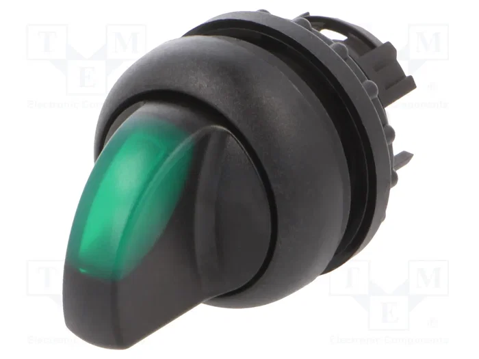 EATON ELECTRIC Interruptor Rotativo RMQ-Titan Verde 2 Posiciones EATON ELECTRIC Interruptor Rotativo RMQ-Titan Verde 2 Posiciones