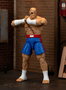 Ultra Street Fighter II: The Final Challengers Figura 1/12 Sagat 19 cm