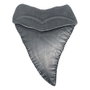 Jaws Medallón 50th Anniversary Shark Tooth