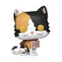 Funko Figura POP Demon Slayer Kimetsu no Yaiba Chachamaru