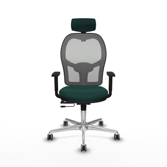 PIQUERAS Y CRESPO Silla de oficina Jorquera con mecanismo Sincro/Traslack Verde botella y Gris PIQUERAS Y CRESPO Silla de oficina Jorquera con mecanismo Sincro/Traslack Verde botella y Gris