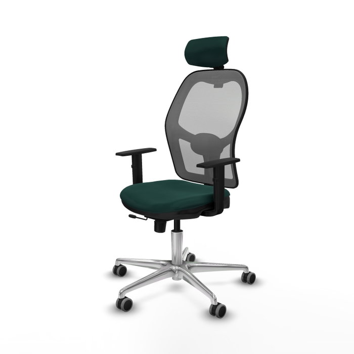 PIQUERAS Y CRESPO Silla de oficina Jorquera con mecanismo Sincro/Traslack Verde botella y Gris PIQUERAS Y CRESPO Silla de oficina Jorquera con mecanismo Sincro/Traslack Verde botella y Gris