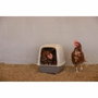 Kerbl Caja nido para gallinas - 52 x 39 x 39 cm