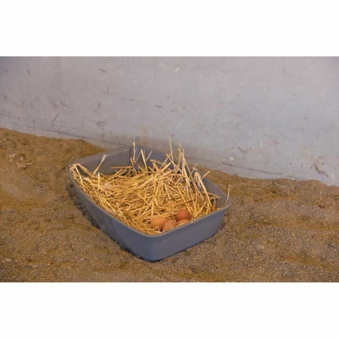 Kerbl Caja nido para gallinas - 52 x 39 x 39 cm Kerbl Caja nido para gallinas - 52 x 39 x 39 cm