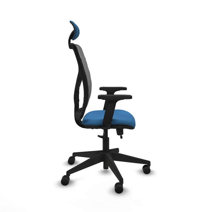 PIQUERAS Y CRESPO Silla de oficina Motilla con mecanismo Sincro/Traslack, Azul claro y Gris PIQUERAS Y CRESPO Silla de oficina Motilla con mecanismo Sincro/Traslack, Azul claro y Gris