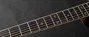 Takamine RNV460C Guitarra electroacústica NEX Cutaway