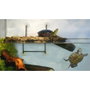 ZooMed ISLA TURTLE DOCK PEQUEÑA