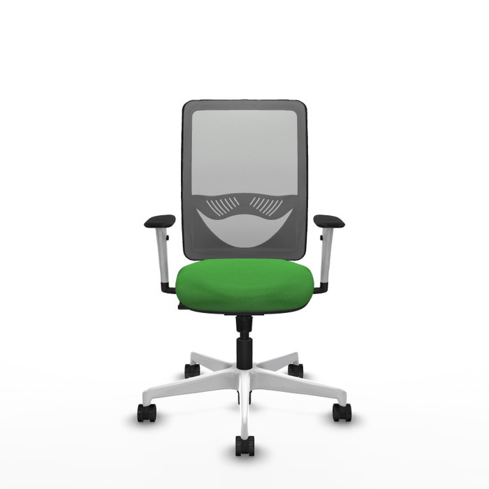PIQUERAS Y CRESPO Silla de oficina Zulema con mecanismo Sincro, Verde y Gris PIQUERAS Y CRESPO Silla de oficina Zulema con mecanismo Sincro, Verde y Gris