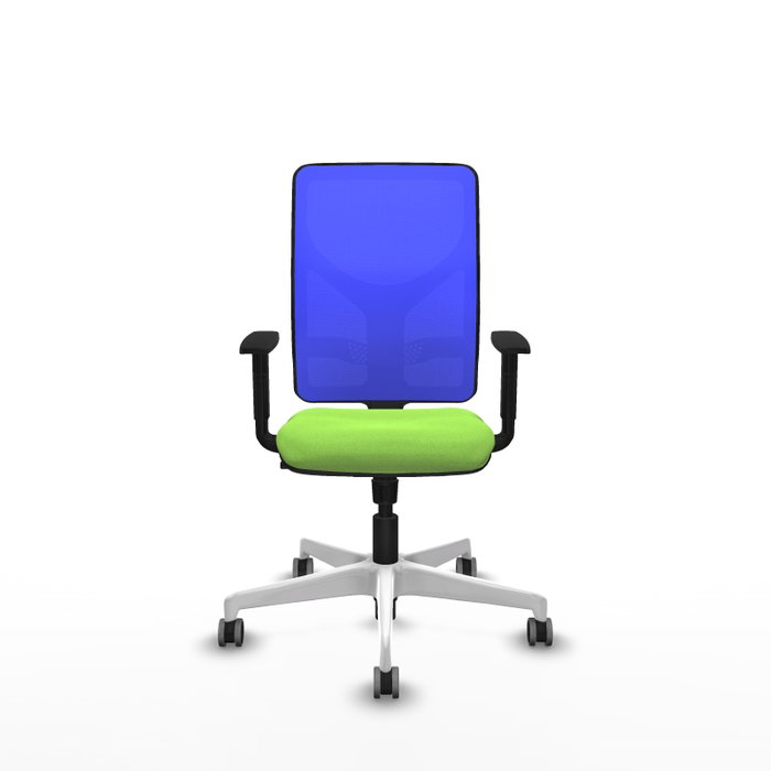 PIQUERAS Y CRESPO Silla de oficina Motilla con Mecanismo Sincro, Tela Pistacho y Malla Azul PIQUERAS Y CRESPO Silla de oficina Motilla con Mecanismo Sincro, Tela Pistacho y Malla Azul